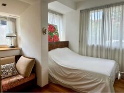 Sunshine Loft (D15), Apartment #480036531